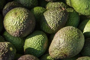 Booster writes-down avocado orchard value