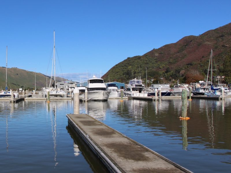 Marina secures $10m from RIF for upgrades
